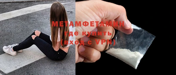 индика Абаза