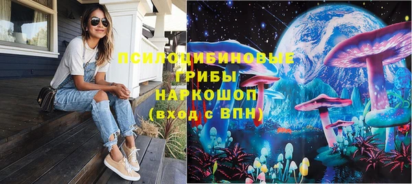 индика Абаза