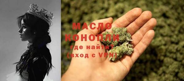 индика Абаза