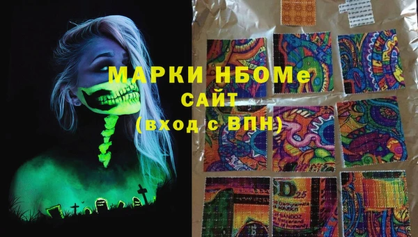 индика Абаза