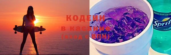 индика Абаза