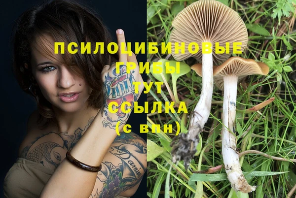 прущий лед Абдулино