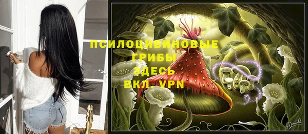 индика Абаза