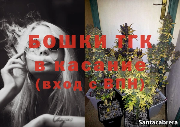 индика Абаза