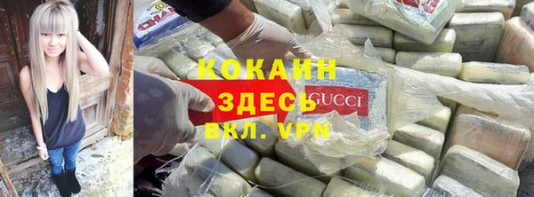 индика Абаза