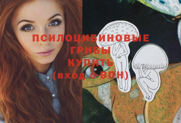 mdpv Рославль