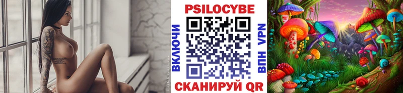 Псилоцибиновые грибы Cubensis  сколько стоит  Кедровый 